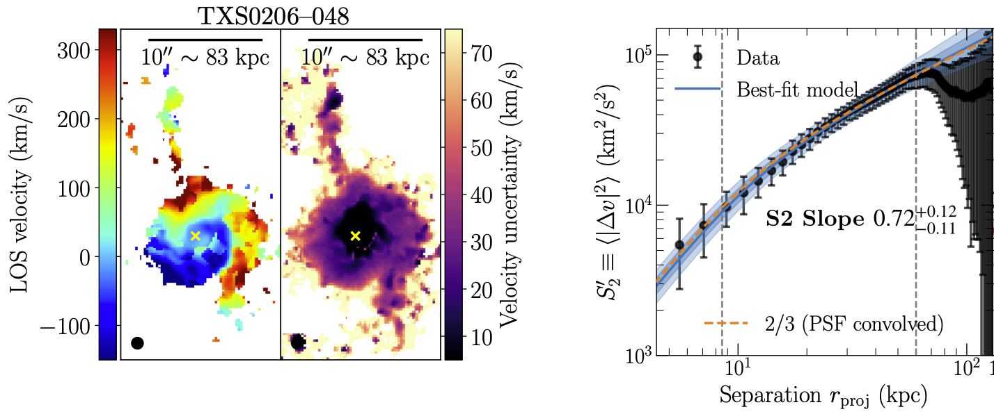 QSO host nebulae turbulence